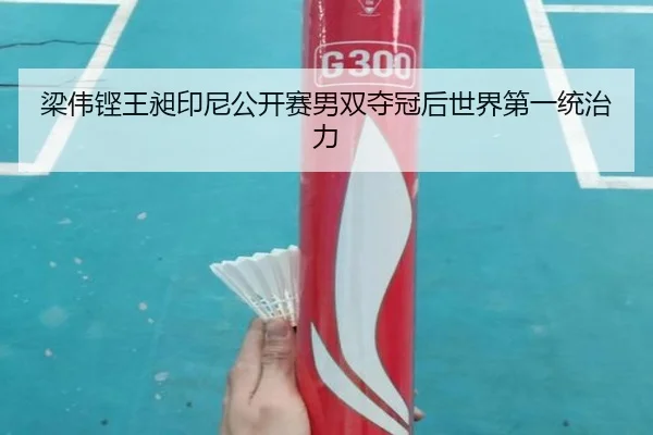 liang-wei-keng-wang-chang-yin-ni-gong-kai-sai-nan-shuang-duo-guan-hou-shi-jie-di-yi-tong-zhi-li-3-216.jpg